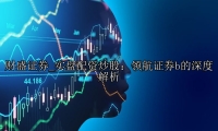 实盘配资炒股：领航证券b的深度解析