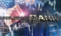安徽省委书记韩俊：加快建设新能源汽车强省